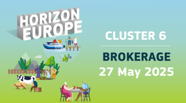 Cluster6mayo2025.png